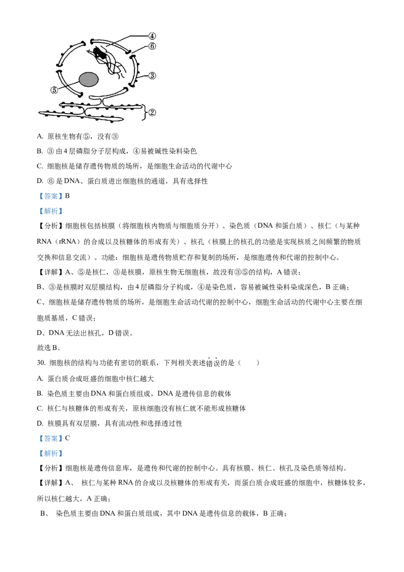 江苏省无锡市江阴市六校2024-2025学年高一上学期11月期中联考试题生物Word版含解析_2024-2025高一（7-7月题库）_2024年11月试卷