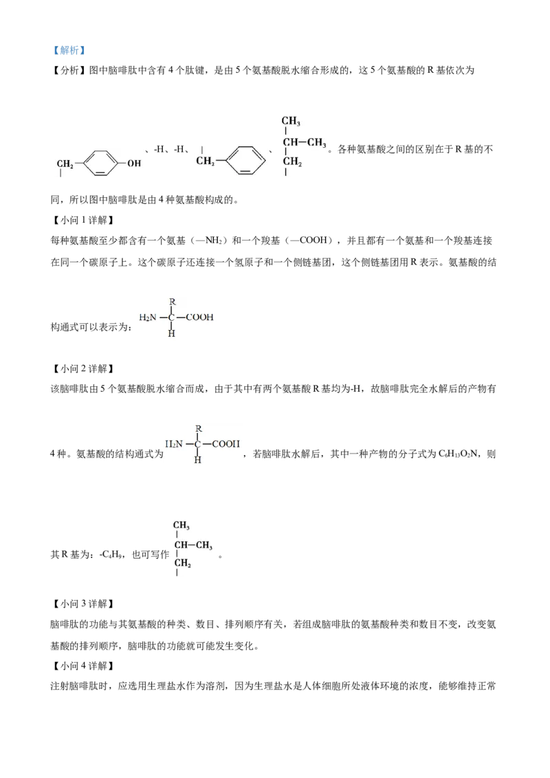 江苏省无锡市江阴市六校2024-2025学年高一上学期11月期中联考试题生物Word版含解析_2024-2025高一（7-7月题库）_2024年11月试卷