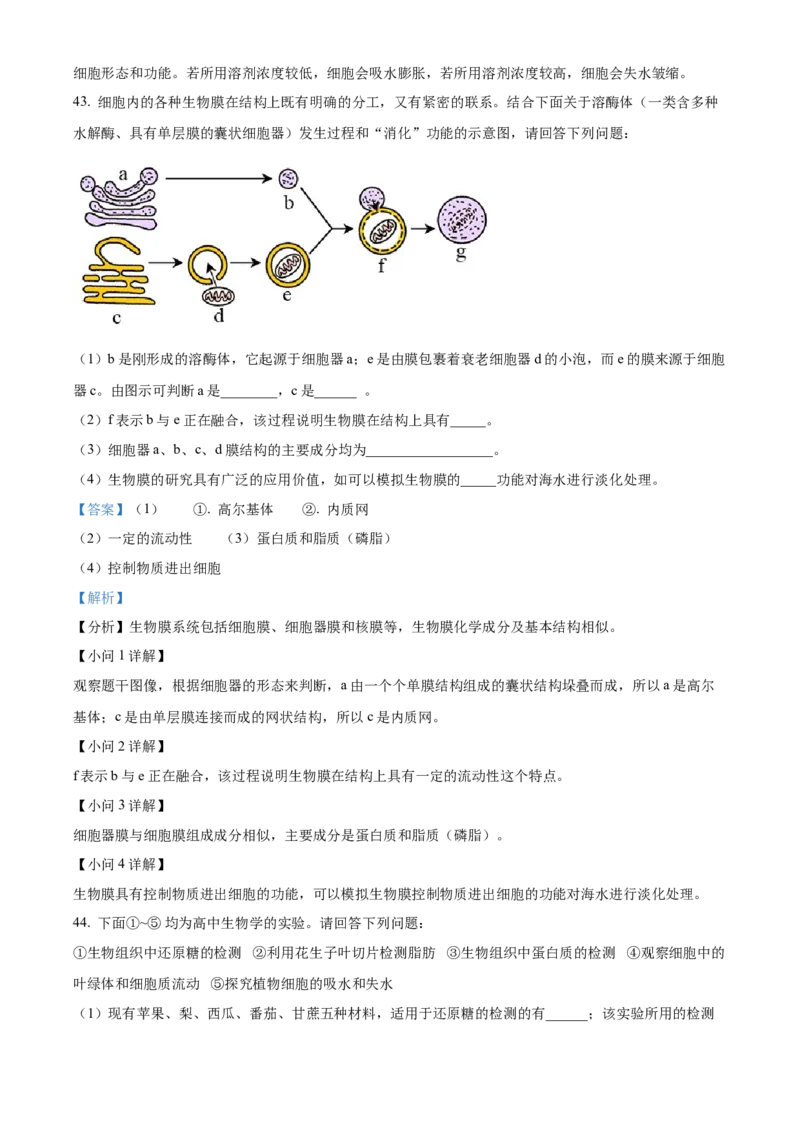 江苏省无锡市江阴市六校2024-2025学年高一上学期11月期中联考试题生物Word版含解析_2024-2025高一（7-7月题库）_2024年11月试卷