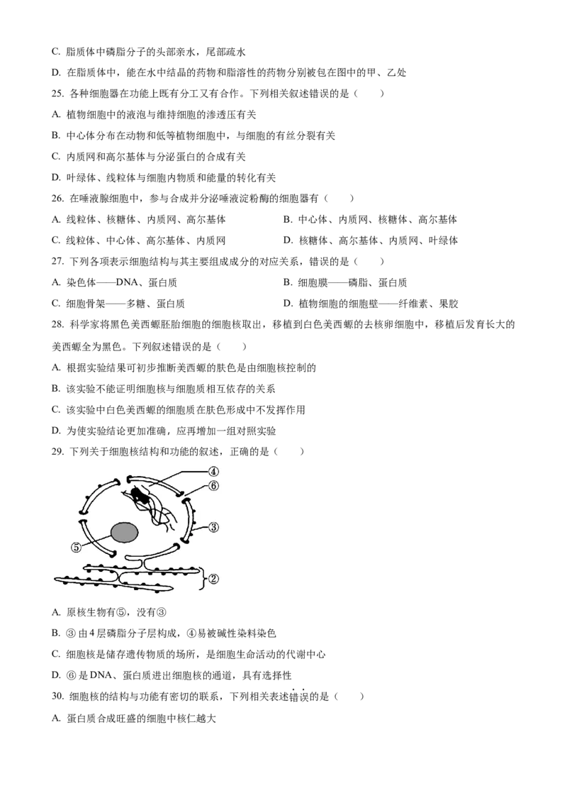 江苏省无锡市江阴市六校2024-2025学年高一上学期11月期中联考试题生物Word版含解析_2024-2025高一（7-7月题库）_2024年11月试卷