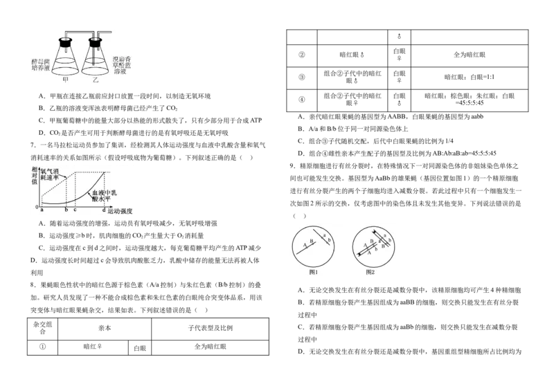 云南省保山市腾冲市第八中学2024-2025学年高一下学期5月期中考试生物试卷（有答案）_2024-2025高一（7-7月题库）_2025年6月7.10新增
