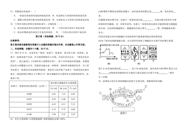云南省保山市腾冲市第八中学2024-2025学年高一下学期5月期中考试生物试卷（有答案）_2024-2025高一（7-7月题库）_2025年6月7.10新增