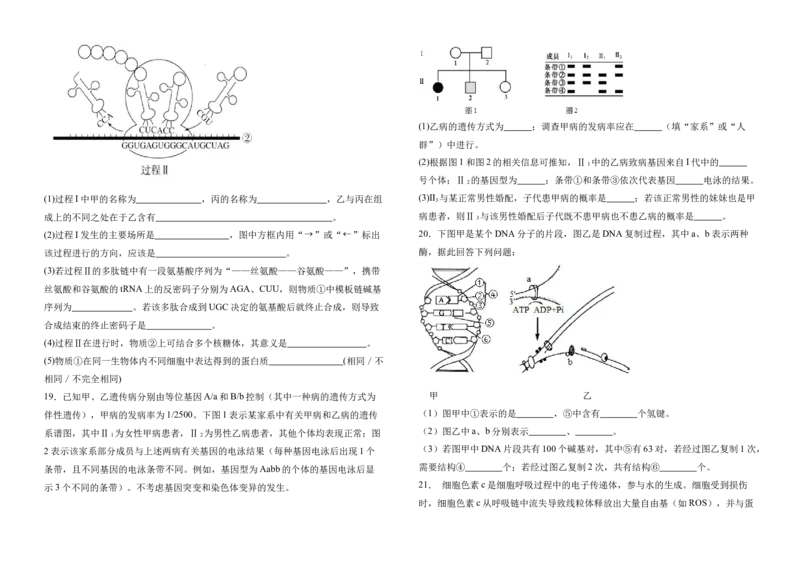 云南省保山市腾冲市第八中学2024-2025学年高一下学期5月期中考试生物试卷（有答案）_2024-2025高一（7-7月题库）_2025年6月7.10新增
