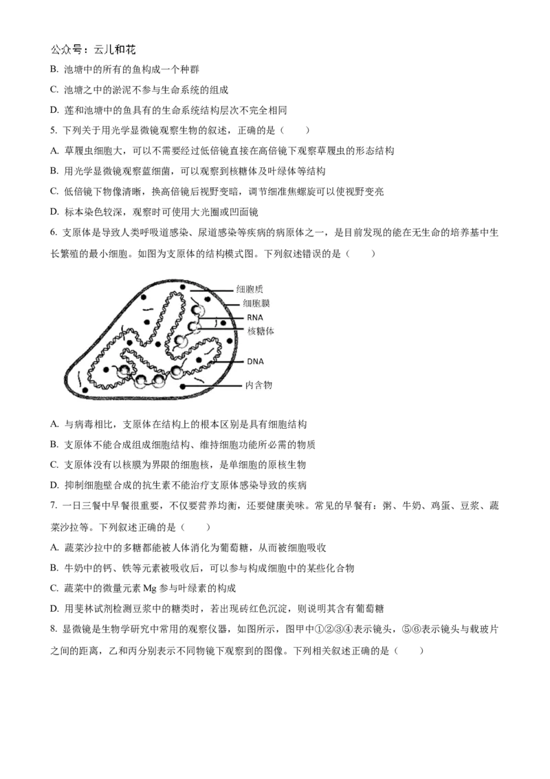 四川省南充高级中学2024-2025学年高一上学期第一次月考试题生物Word版含答案_2024-2025高一（7-7月题库）_2024年11月试卷_1105四川省南充高级中学2024-2025学年高一上学期第一次月考