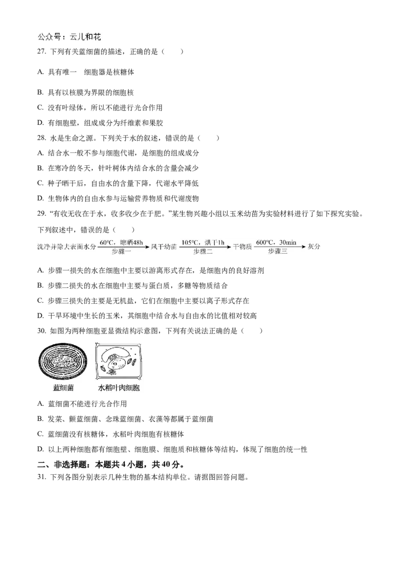 四川省南充高级中学2024-2025学年高一上学期第一次月考试题生物Word版含答案_2024-2025高一（7-7月题库）_2024年11月试卷_1105四川省南充高级中学2024-2025学年高一上学期第一次月考