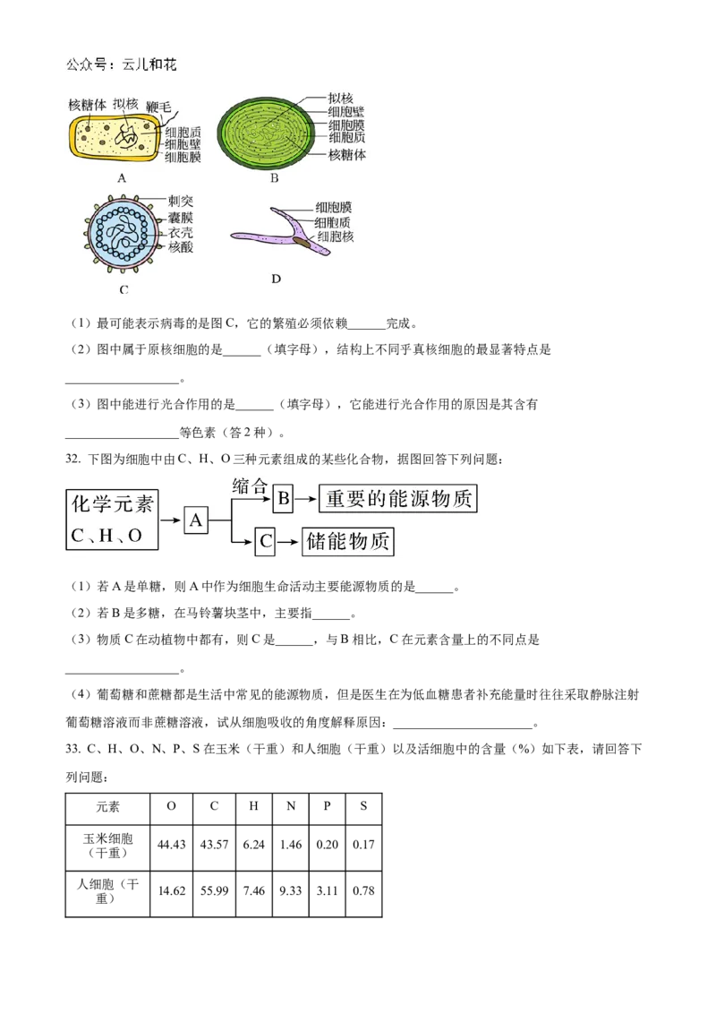 四川省南充高级中学2024-2025学年高一上学期第一次月考试题生物Word版含答案_2024-2025高一（7-7月题库）_2024年11月试卷_1105四川省南充高级中学2024-2025学年高一上学期第一次月考