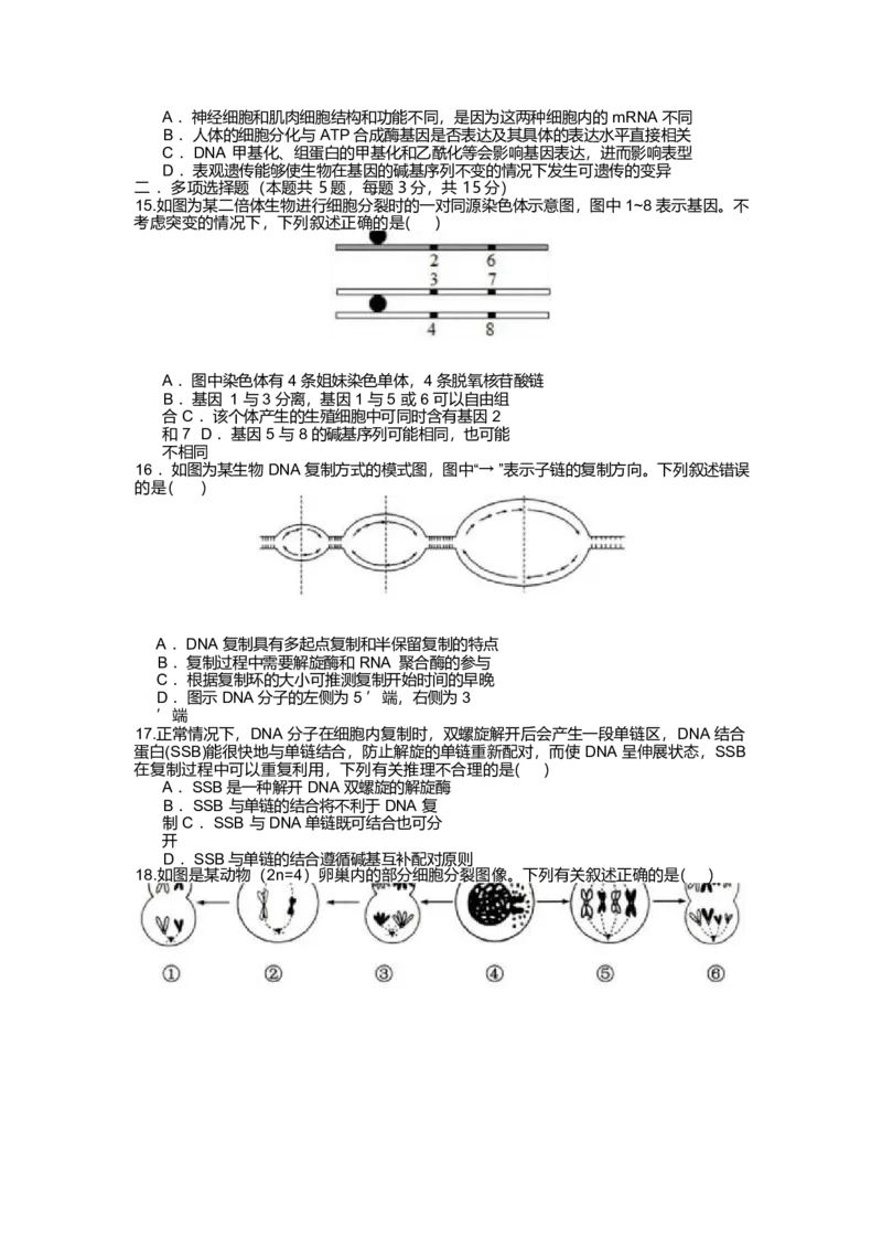 江苏省无锡市江阴市六校2024-2025学年高一下学期4月期中联考试题生物Word版含答案_2024-2025高一（7-7月题库）_2025年05月试卷
