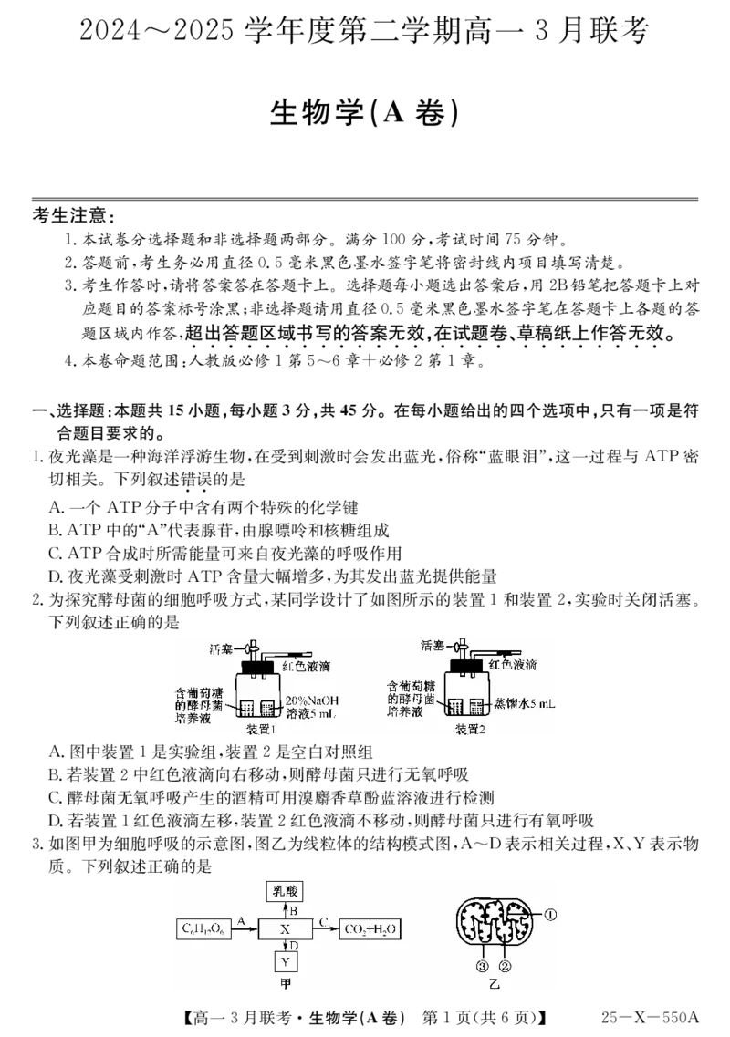 安徽省县中联盟2024-2025学年高一下学期3月联考试题生物（A卷）PDF版含解析_2024-2025高一（7-7月题库）_2025年03月试卷_0328安徽省县中联盟2024-2025学年高一下学期3月联考试题