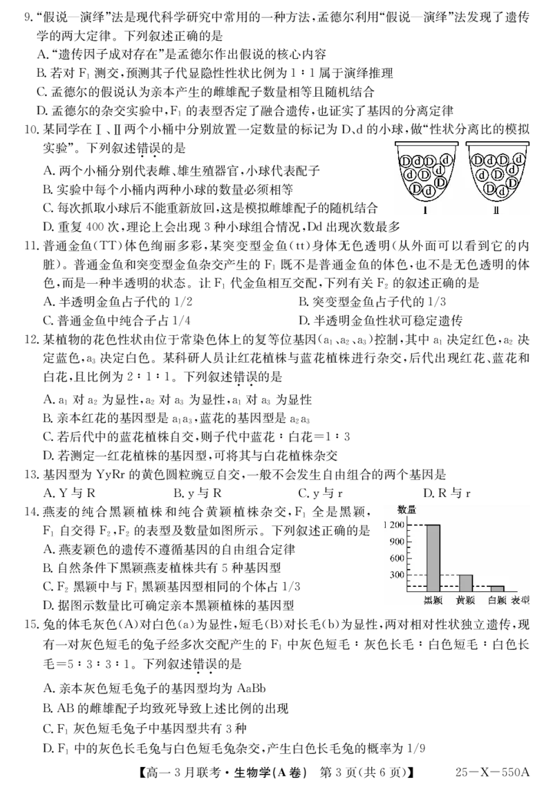 安徽省县中联盟2024-2025学年高一下学期3月联考试题生物（A卷）PDF版含解析_2024-2025高一（7-7月题库）_2025年03月试卷_0328安徽省县中联盟2024-2025学年高一下学期3月联考试题