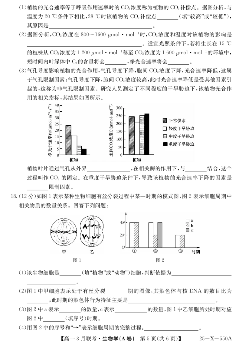 安徽省县中联盟2024-2025学年高一下学期3月联考试题生物（A卷）PDF版含解析_2024-2025高一（7-7月题库）_2025年03月试卷_0328安徽省县中联盟2024-2025学年高一下学期3月联考试题