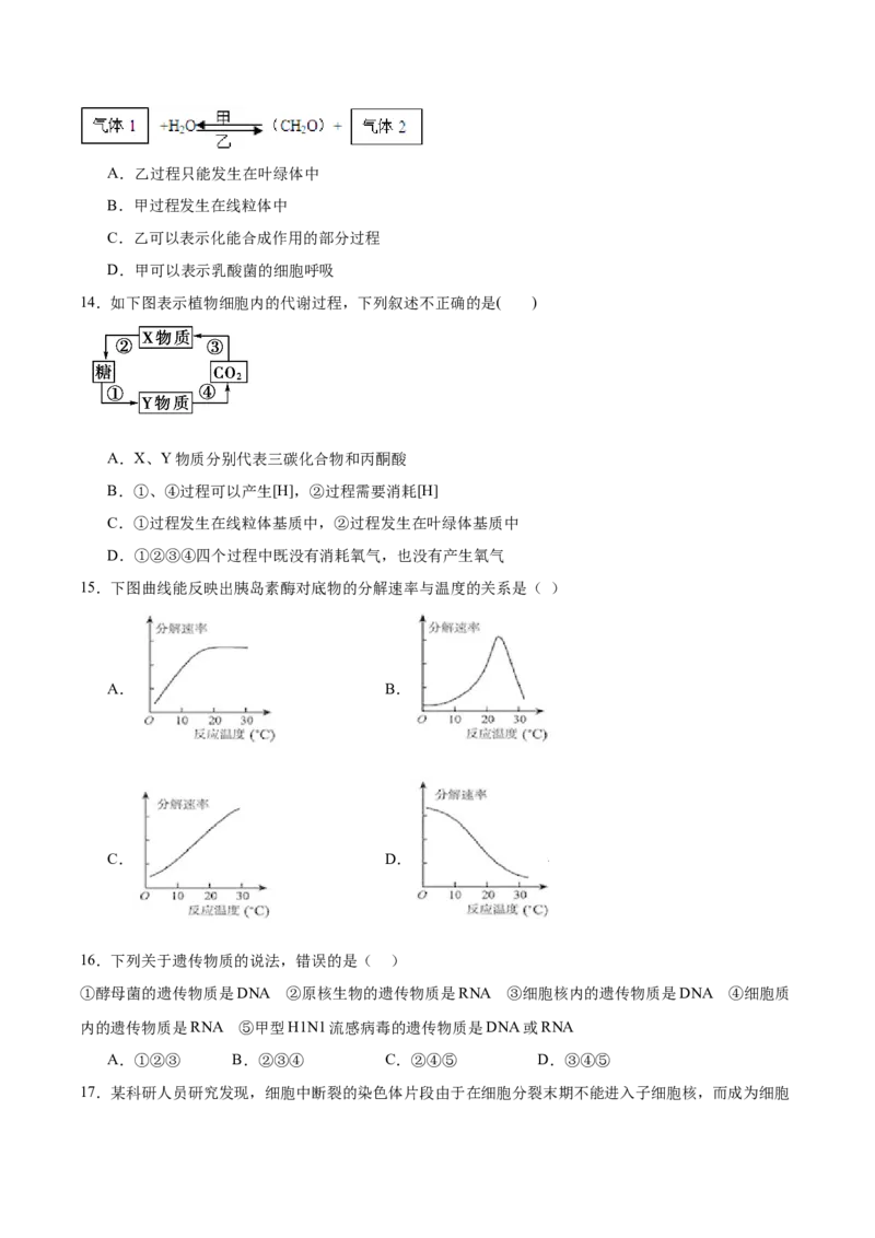 内蒙古自治区鄂尔多斯市第一中学2025-2026学年高一上学期12月月考生物试卷（含答案）_2024-2025高一（7-7月题库）_2026年1月高一