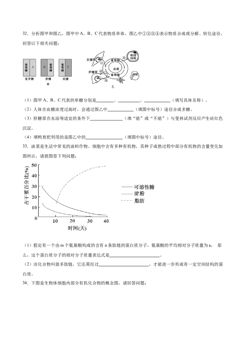 内蒙古自治区鄂尔多斯市第一中学2025-2026学年高一上学期12月月考生物试卷（含答案）_2024-2025高一（7-7月题库）_2026年1月高一