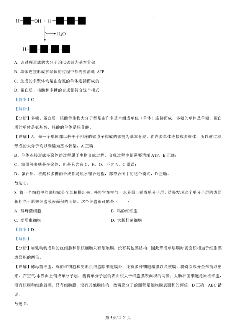吉林省长春第二实验中学2024-2025学年高一上学期期中考试生物PDF版含解析（可编辑）_2024-2025高一（7-7月题库）_2024年12月试卷