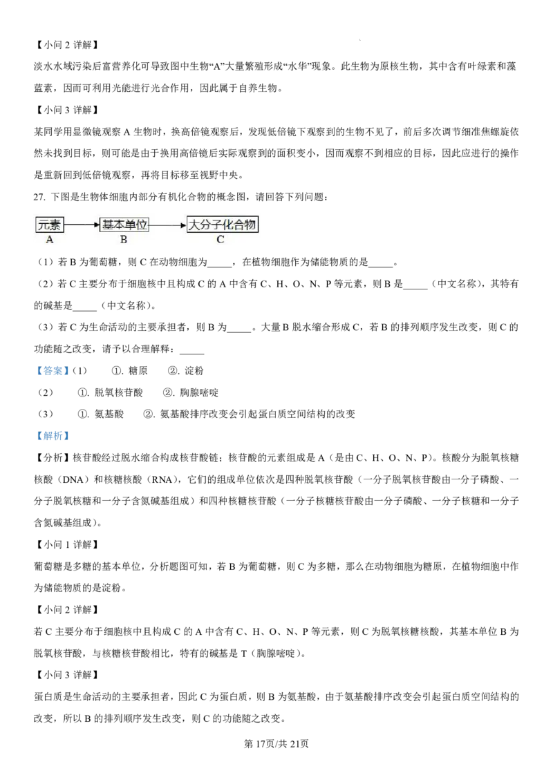 吉林省长春第二实验中学2024-2025学年高一上学期期中考试生物PDF版含解析（可编辑）_2024-2025高一（7-7月题库）_2024年12月试卷