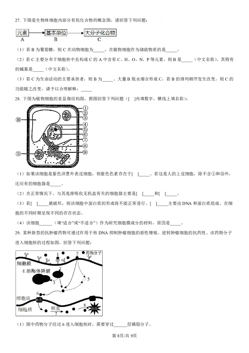 吉林省长春第二实验中学2024-2025学年高一上学期期中考试生物PDF版含解析（可编辑）_2024-2025高一（7-7月题库）_2024年12月试卷