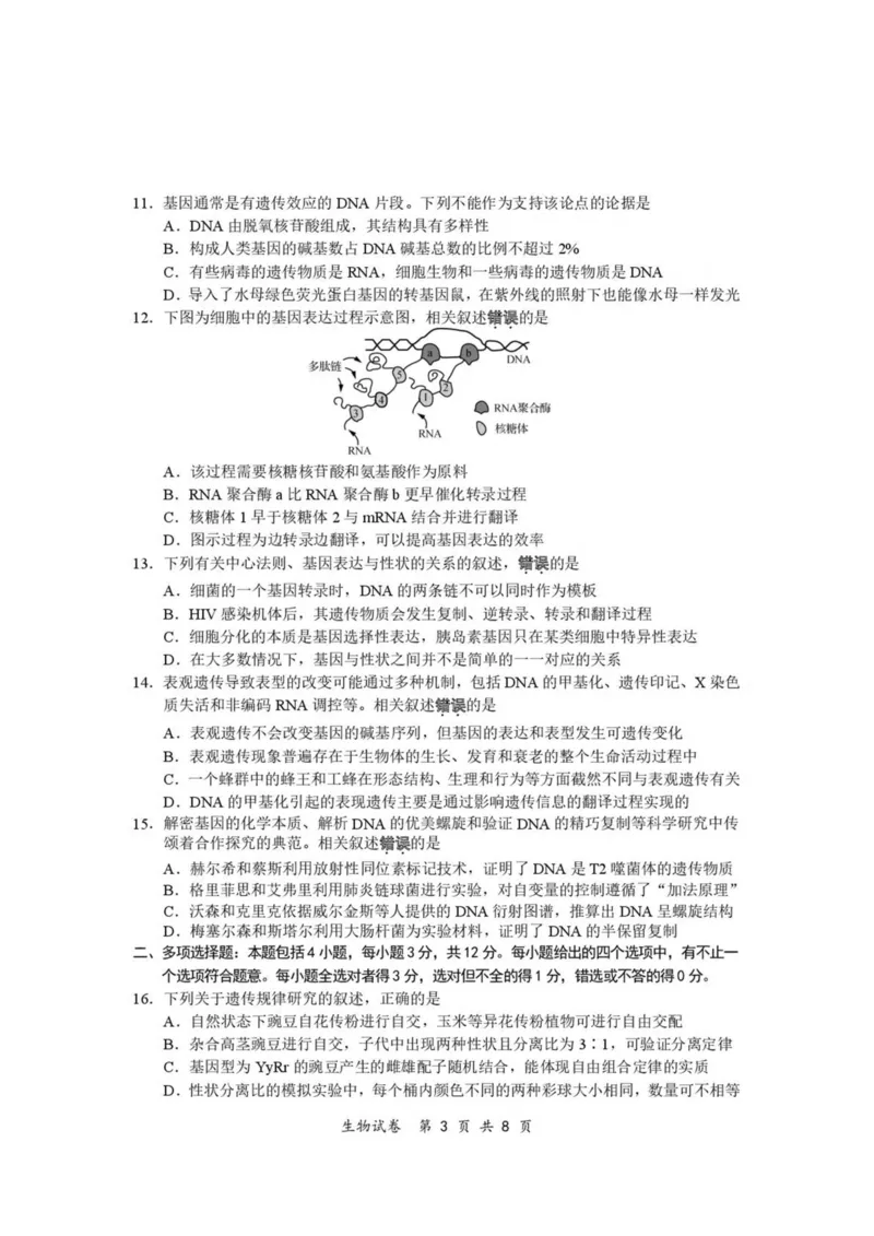 江苏省南通市2024-2025学年高一下学期期中考试生物PDF版含答案_2024-2025高一（7-7月题库）_2025年04月试卷_0427江苏省南通市2024-2025学年高一下学期期中考试