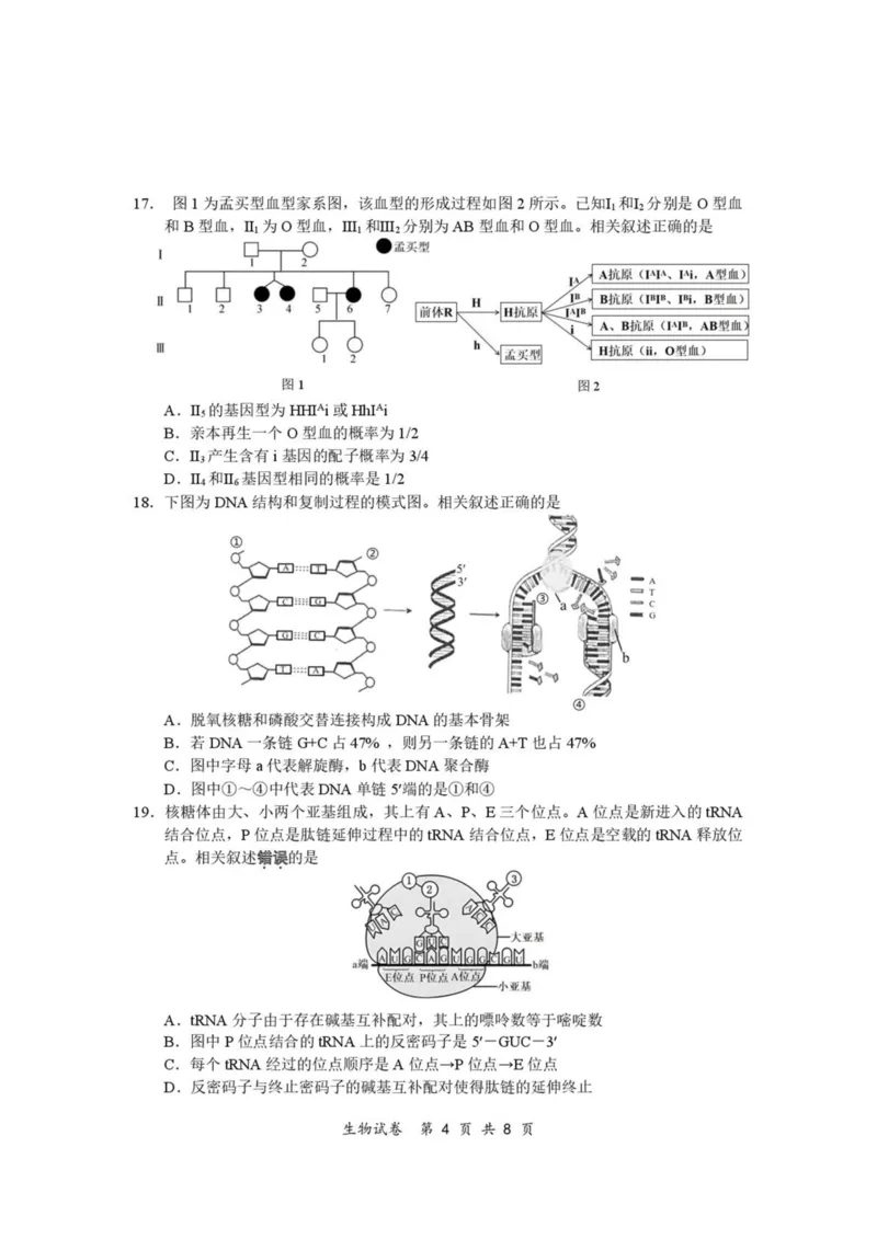 江苏省南通市2024-2025学年高一下学期期中考试生物PDF版含答案_2024-2025高一（7-7月题库）_2025年04月试卷_0427江苏省南通市2024-2025学年高一下学期期中考试