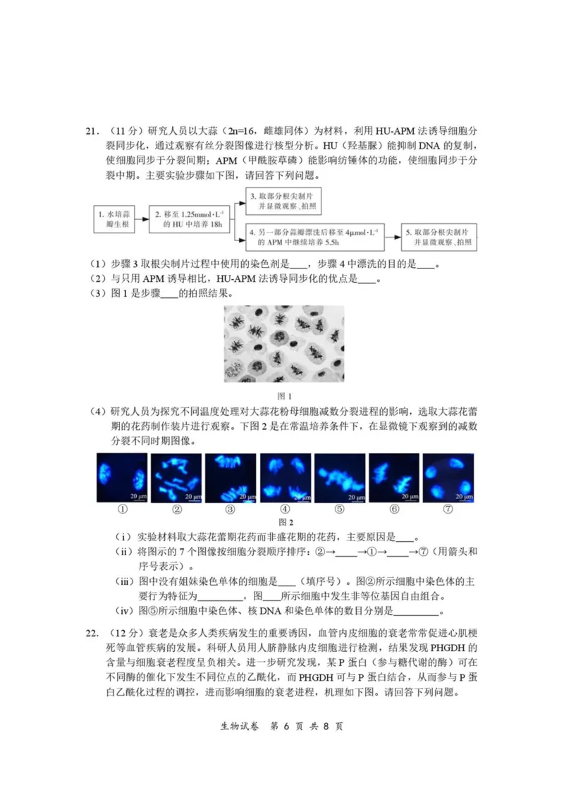 江苏省南通市2024-2025学年高一下学期期中考试生物PDF版含答案_2024-2025高一（7-7月题库）_2025年04月试卷_0427江苏省南通市2024-2025学年高一下学期期中考试