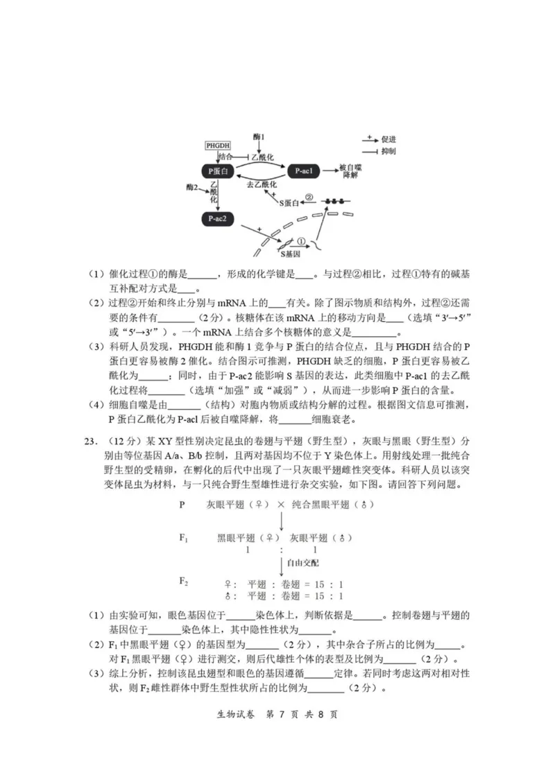 江苏省南通市2024-2025学年高一下学期期中考试生物PDF版含答案_2024-2025高一（7-7月题库）_2025年04月试卷_0427江苏省南通市2024-2025学年高一下学期期中考试