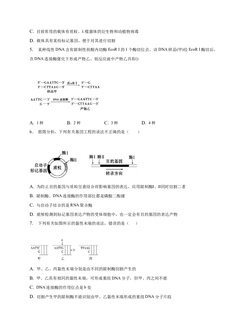 3.1重组DNA技术的基本工具-高二生物课后培优分级练（人教版2019选择性必修3）（原卷版）_E015高中全科试卷_生物试题_选修3_2.同步练习_1.课后培优练2023