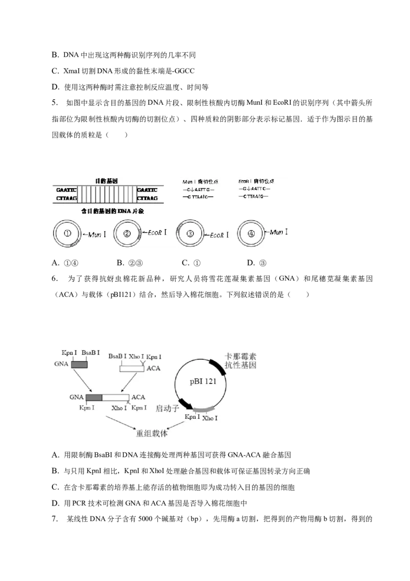 3.1重组DNA技术的基本工具-高二生物课后培优分级练（人教版2019选择性必修3）（原卷版）_E015高中全科试卷_生物试题_选修3_2.同步练习_1.课后培优练2023