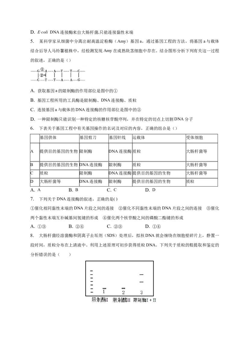 3.1重组DNA技术的基本工具-高二生物课后培优分级练（人教版2019选择性必修3）（原卷版）_E015高中全科试卷_生物试题_选修3_2.同步练习_1.课后培优练2023