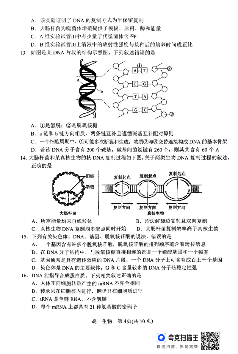 2024年春期高中一年级期终质量评估生物试题_2024-2025高一（7-7月题库）_2024年8月试卷_0804河南省南阳市2023-2024学年高一下学期期末质量评估