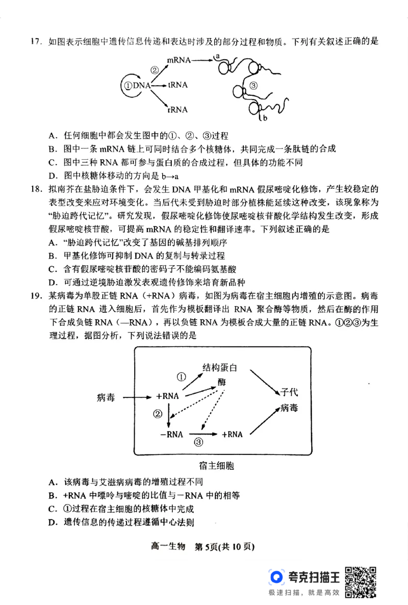 2024年春期高中一年级期终质量评估生物试题_2024-2025高一（7-7月题库）_2024年8月试卷_0804河南省南阳市2023-2024学年高一下学期期末质量评估