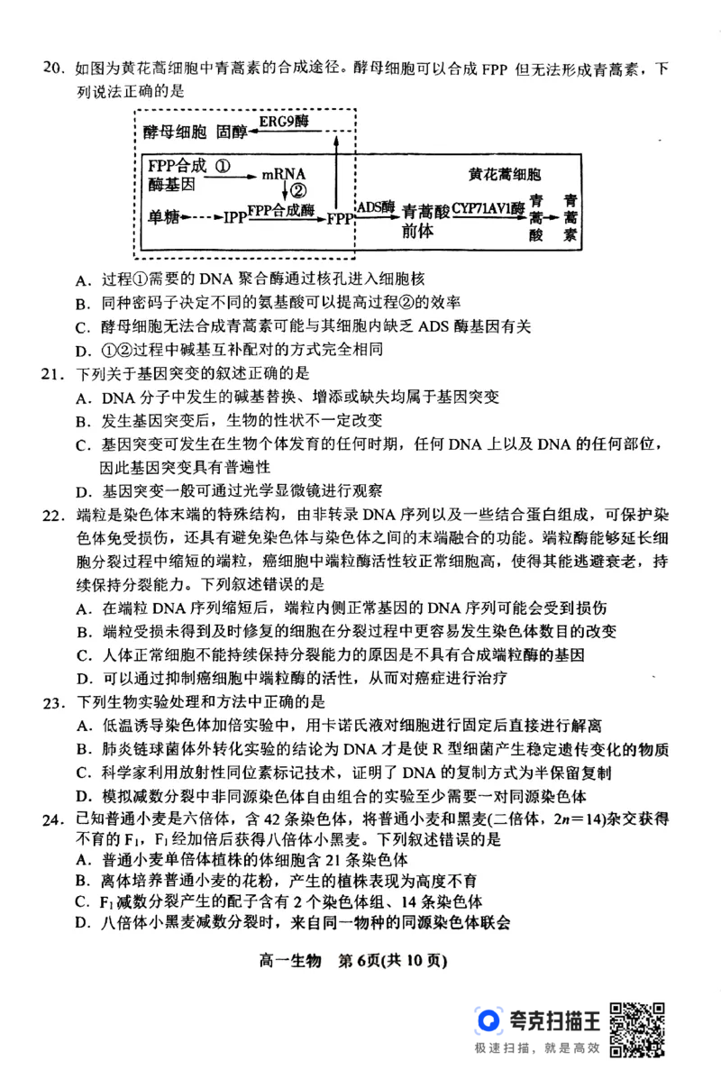 2024年春期高中一年级期终质量评估生物试题_2024-2025高一（7-7月题库）_2024年8月试卷_0804河南省南阳市2023-2024学年高一下学期期末质量评估