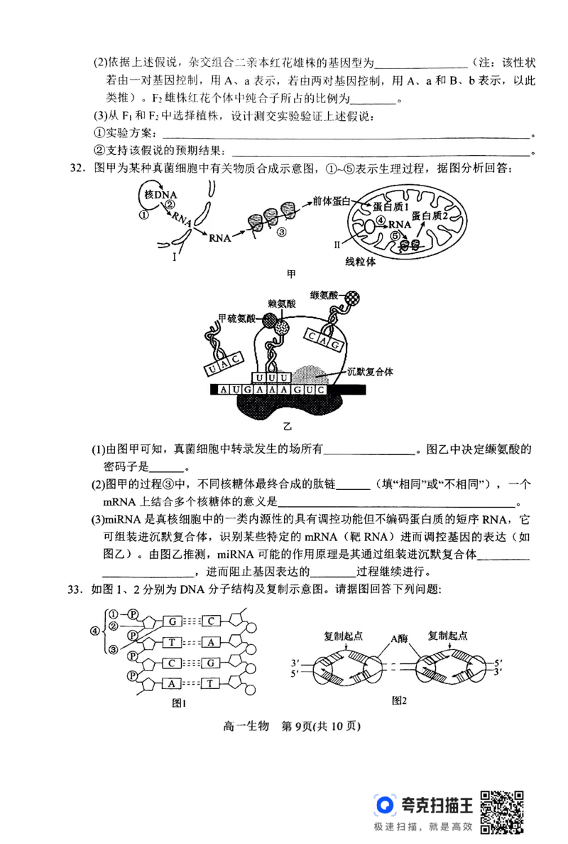 2024年春期高中一年级期终质量评估生物试题_2024-2025高一（7-7月题库）_2024年8月试卷_0804河南省南阳市2023-2024学年高一下学期期末质量评估
