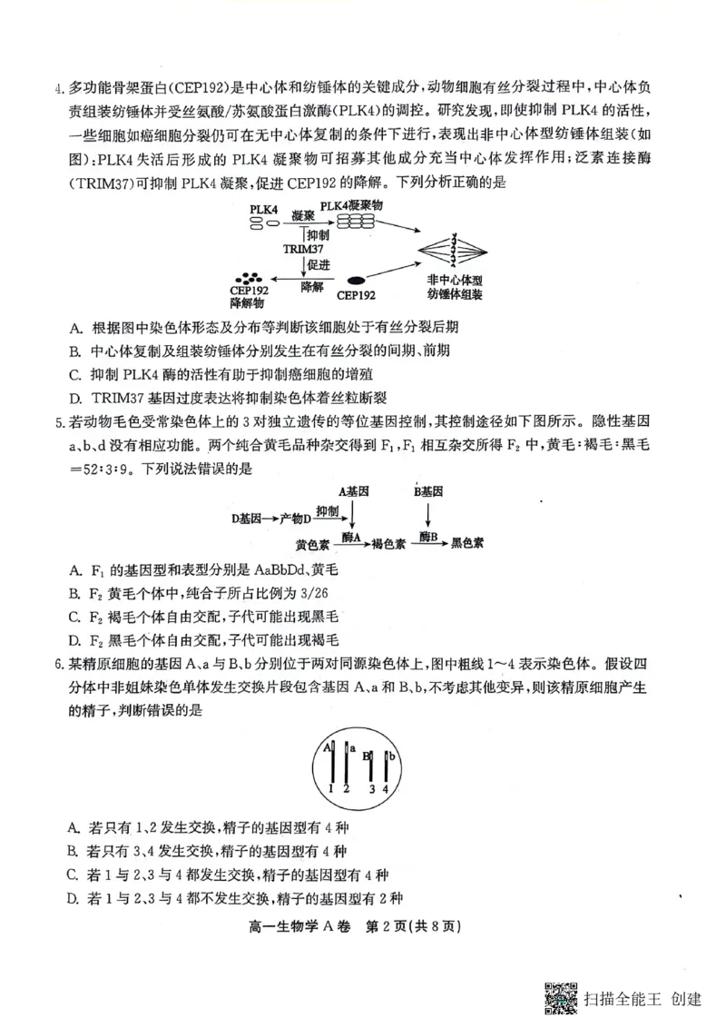 安徽省铜陵市等三市2023-2024学年高一下学期生物期末考试_2024-2025高一（7-7月题库）_2024年7月试卷_0724安徽省安庆市、铜陵市、池州市三市2023-2024学年高一下学期联合期末检测