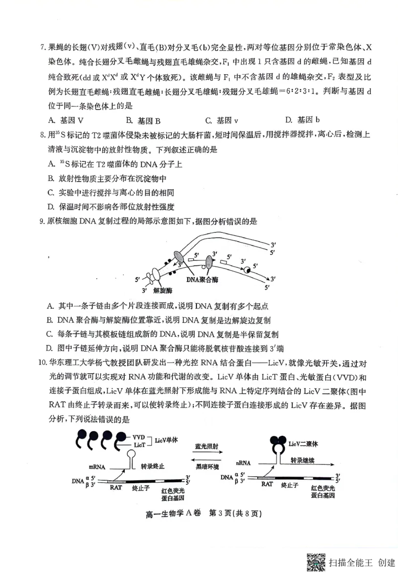 安徽省铜陵市等三市2023-2024学年高一下学期生物期末考试_2024-2025高一（7-7月题库）_2024年7月试卷_0724安徽省安庆市、铜陵市、池州市三市2023-2024学年高一下学期联合期末检测