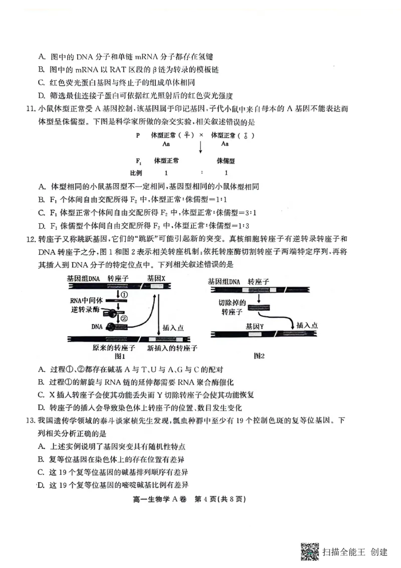 安徽省铜陵市等三市2023-2024学年高一下学期生物期末考试_2024-2025高一（7-7月题库）_2024年7月试卷_0724安徽省安庆市、铜陵市、池州市三市2023-2024学年高一下学期联合期末检测