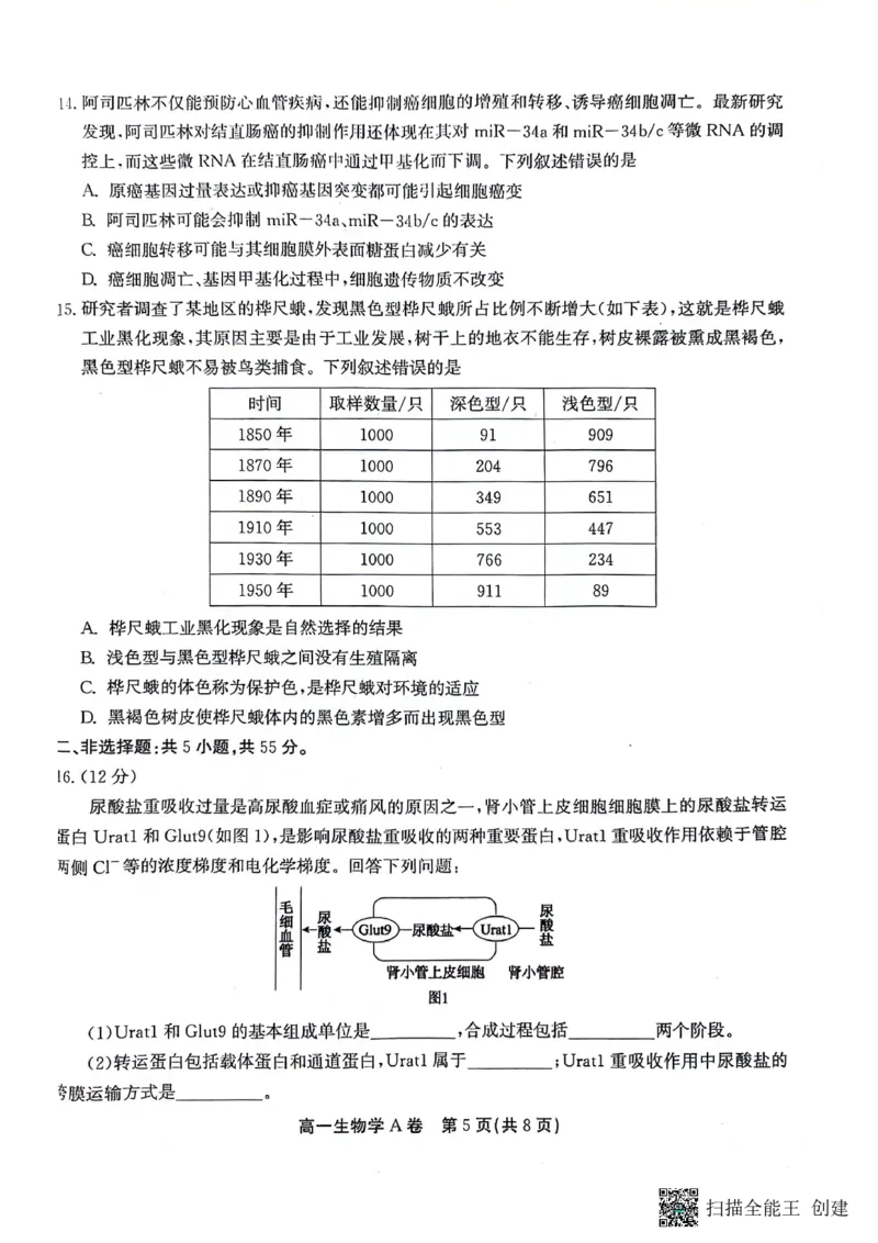 安徽省铜陵市等三市2023-2024学年高一下学期生物期末考试_2024-2025高一（7-7月题库）_2024年7月试卷_0724安徽省安庆市、铜陵市、池州市三市2023-2024学年高一下学期联合期末检测