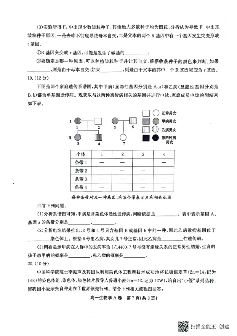 安徽省铜陵市等三市2023-2024学年高一下学期生物期末考试_2024-2025高一（7-7月题库）_2024年7月试卷_0724安徽省安庆市、铜陵市、池州市三市2023-2024学年高一下学期联合期末检测