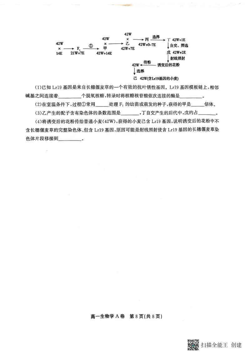 安徽省铜陵市等三市2023-2024学年高一下学期生物期末考试_2024-2025高一（7-7月题库）_2024年7月试卷_0724安徽省安庆市、铜陵市、池州市三市2023-2024学年高一下学期联合期末检测