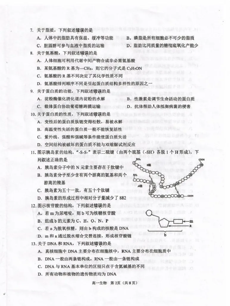 江苏省淮安市2024-2025学年高一上学期1月期末考试生物PDF版无答案_2024-2025高一（7-7月题库）_2025年02月试卷_0219江苏省淮安市2024-2025学年高一上学期1月期末考试
