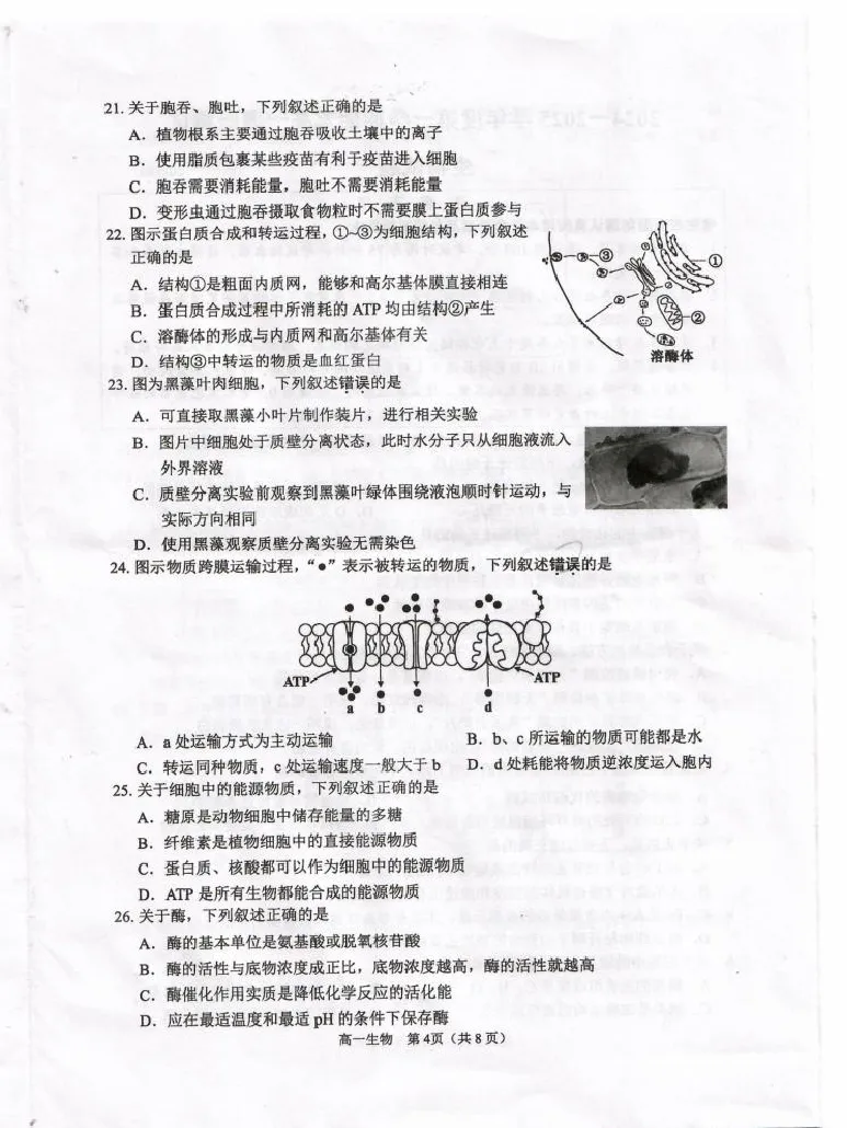 江苏省淮安市2024-2025学年高一上学期1月期末考试生物PDF版无答案_2024-2025高一（7-7月题库）_2025年02月试卷_0219江苏省淮安市2024-2025学年高一上学期1月期末考试