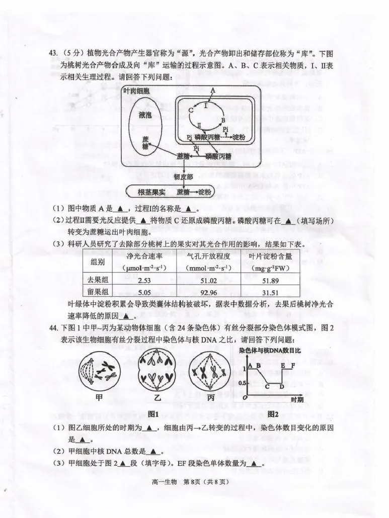 江苏省淮安市2024-2025学年高一上学期1月期末考试生物PDF版无答案_2024-2025高一（7-7月题库）_2025年02月试卷_0219江苏省淮安市2024-2025学年高一上学期1月期末考试