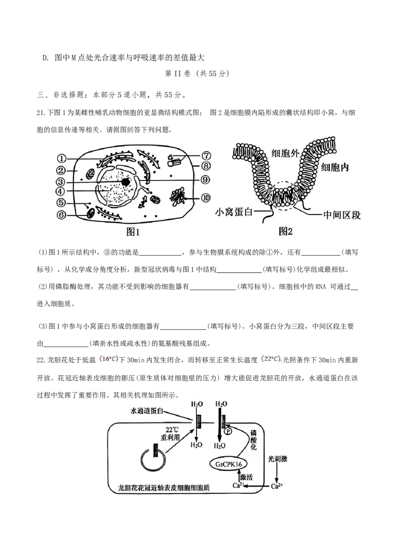 山东省2024-2025学年高一上学期12月选科指导联合测试生物（含答案）_2024-2025高一（7-7月题库）_2025年01月试卷_0113山东省2024-2025学年高一上学期12月选科指导联合测试