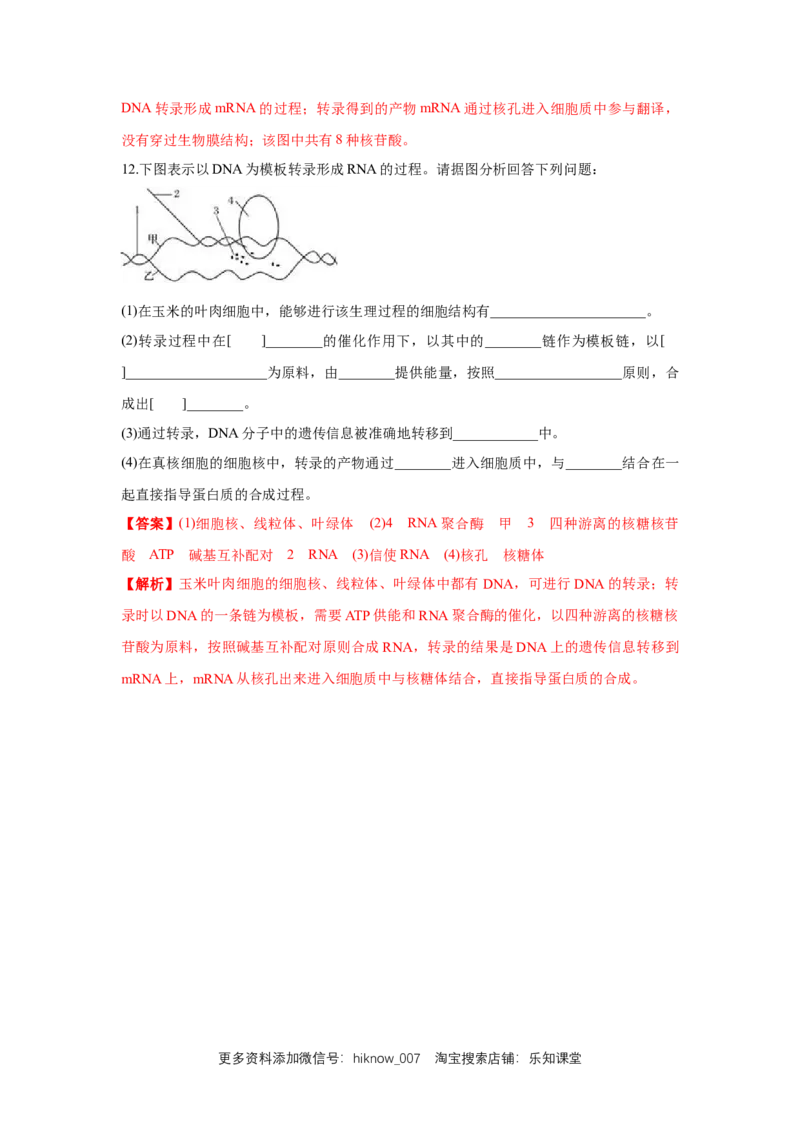 新教材精创4.1.1基因指导蛋白质的合成练习（1）（解析版）_E015高中全科试卷_生物试题_必修2_2.同步练习_1、同步练习
