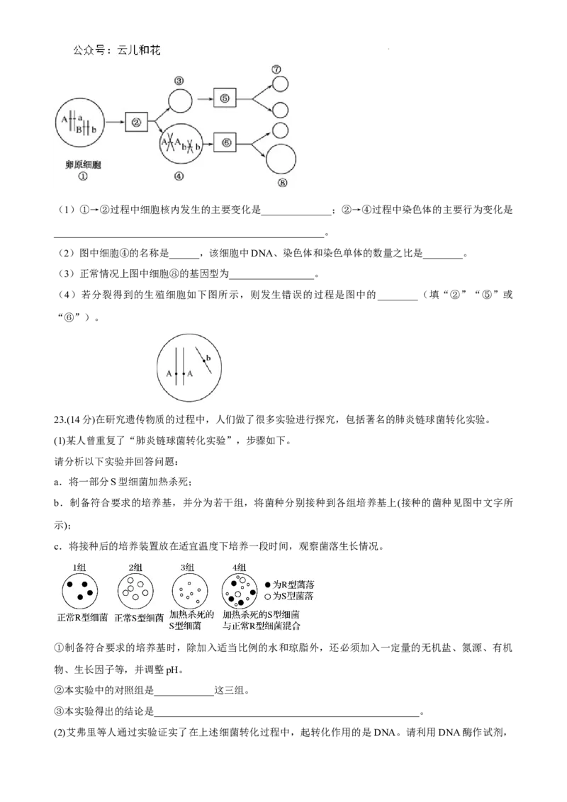 XS生物1_2024-2025高一（7-7月题库）_2024年7月试卷_0724甘肃省兰州第一中学2023-2024学年高一下学期7月期末