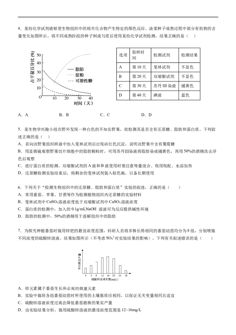 广东省阳江市高新区2024-2025学年高一上学期11月期中考试生物Word版含答案_2024-2025高一（7-7月题库）_2024年11月试卷_1122广东省阳江市高新区2024-2025学年高一上学期11月期中考试