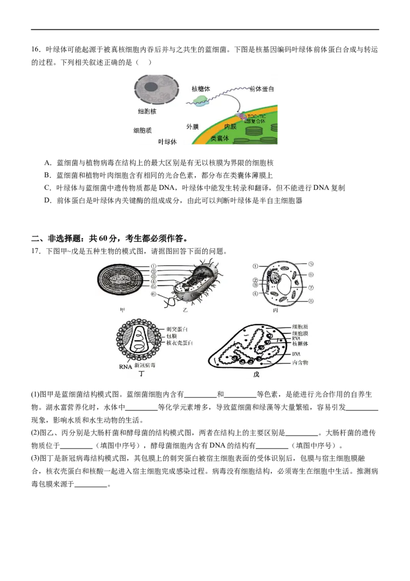 广东省阳江市高新区2024-2025学年高一上学期11月期中考试生物Word版含答案_2024-2025高一（7-7月题库）_2024年11月试卷_1122广东省阳江市高新区2024-2025学年高一上学期11月期中考试
