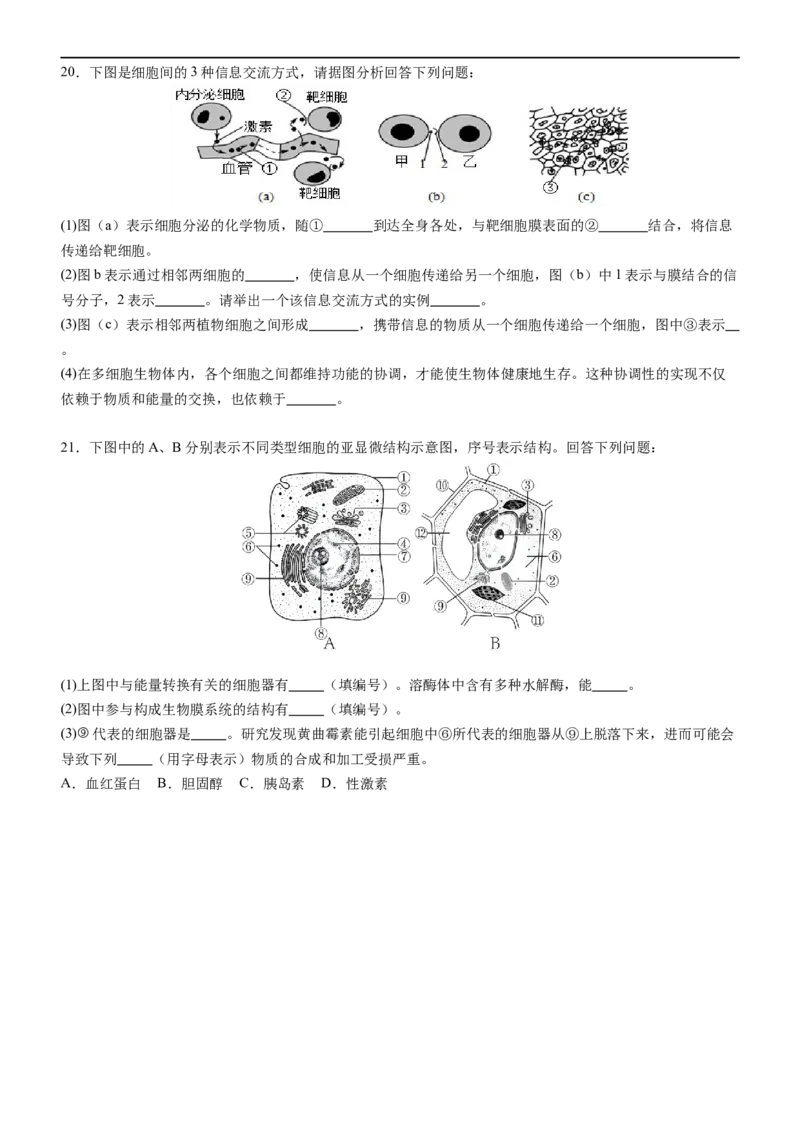 广东省阳江市高新区2024-2025学年高一上学期11月期中考试生物Word版含答案_2024-2025高一（7-7月题库）_2024年11月试卷_1122广东省阳江市高新区2024-2025学年高一上学期11月期中考试