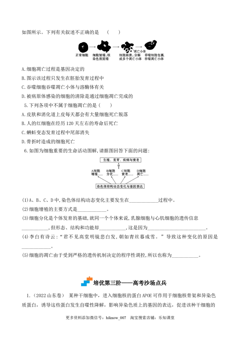 6.3细胞的衰老和死亡-2022-2023学年高一生物上学期课后培优分级练（2019人教版必修1）（原卷版）_E015高中全科试卷_生物试题_必修1_2.同步练习_1.同步练习（第一套）