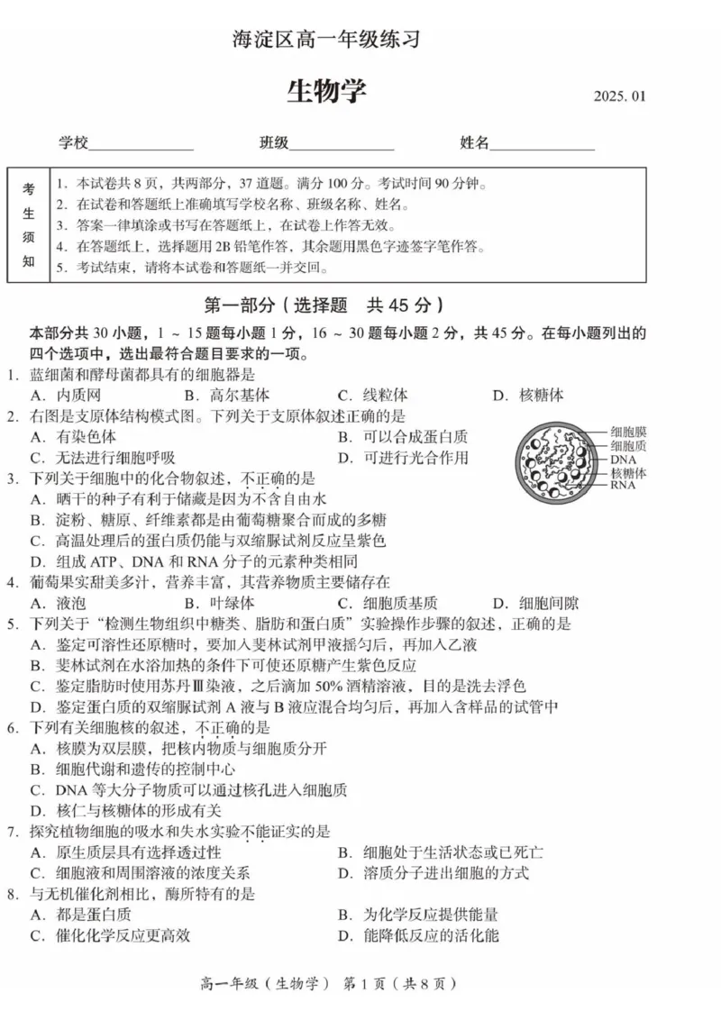 北京市海淀区2024-2025学年高一上学期1月期末考试生物试卷（扫描版有答案）_2024-2025高一（7-7月题库）_2025年01月试卷_0123北京市海淀区2024-2025学年高一上学期期末考试