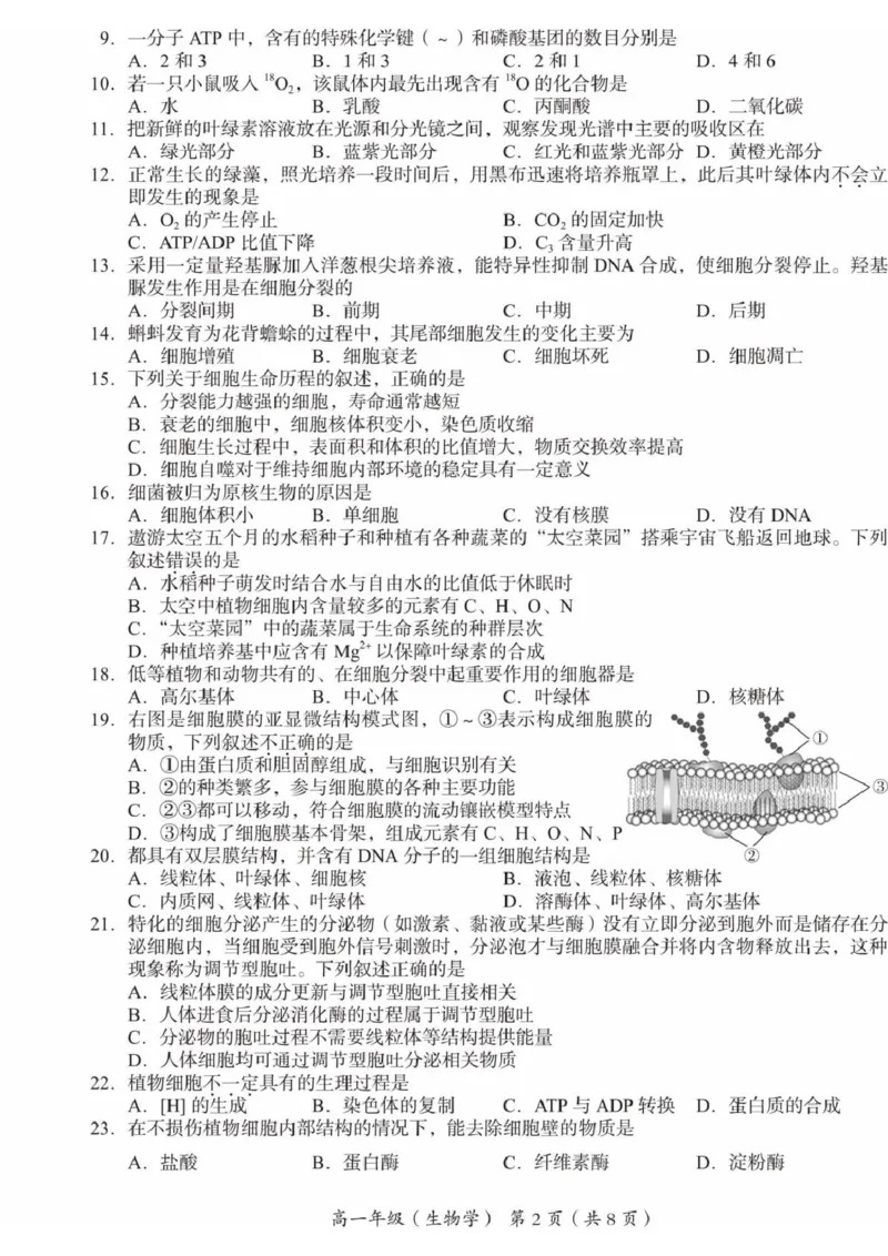 北京市海淀区2024-2025学年高一上学期1月期末考试生物试卷（扫描版有答案）_2024-2025高一（7-7月题库）_2025年01月试卷_0123北京市海淀区2024-2025学年高一上学期期末考试