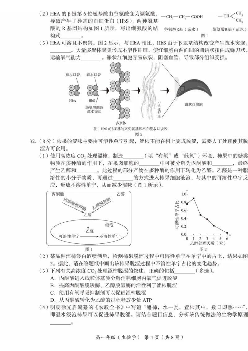 北京市海淀区2024-2025学年高一上学期1月期末考试生物试卷（扫描版有答案）_2024-2025高一（7-7月题库）_2025年01月试卷_0123北京市海淀区2024-2025学年高一上学期期末考试