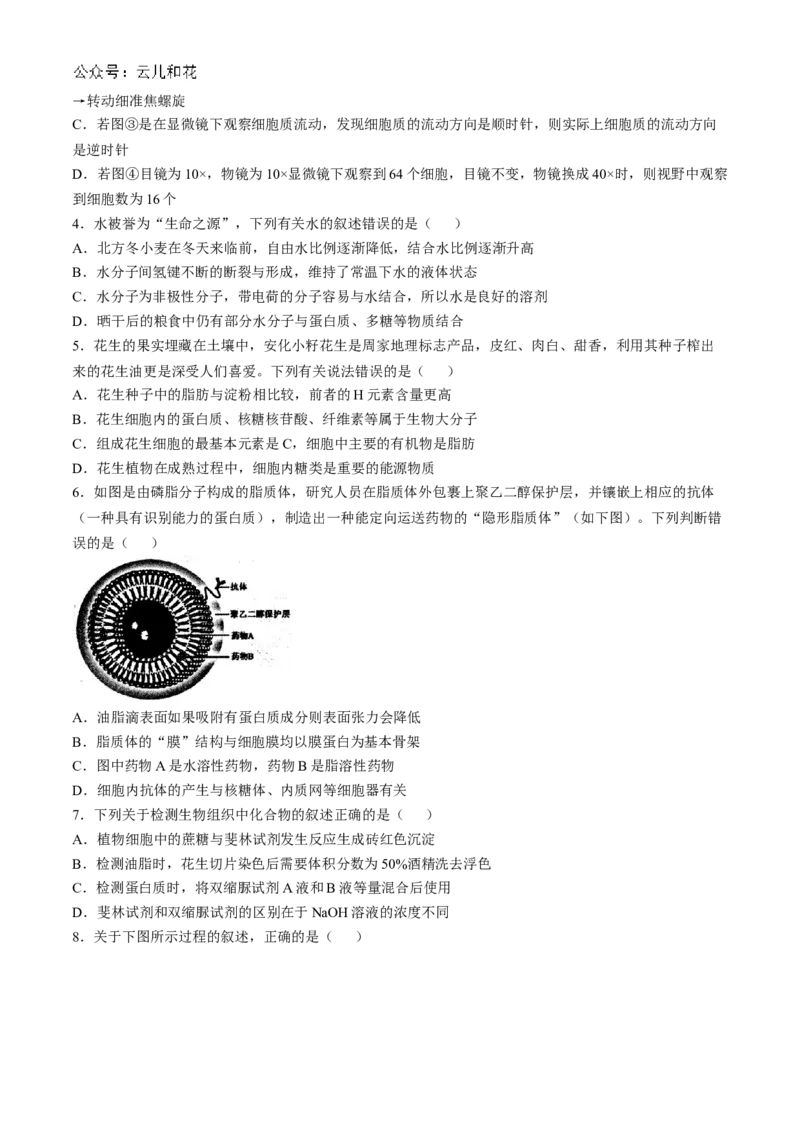 山西省大同市2024-2025学年高一上学期11月期中考试生物试题（含答案）_2024-2025高一（7-7月题库）_2024年12月试卷_1201山西省大同市2024-2025学年高一上学期11月期中考试